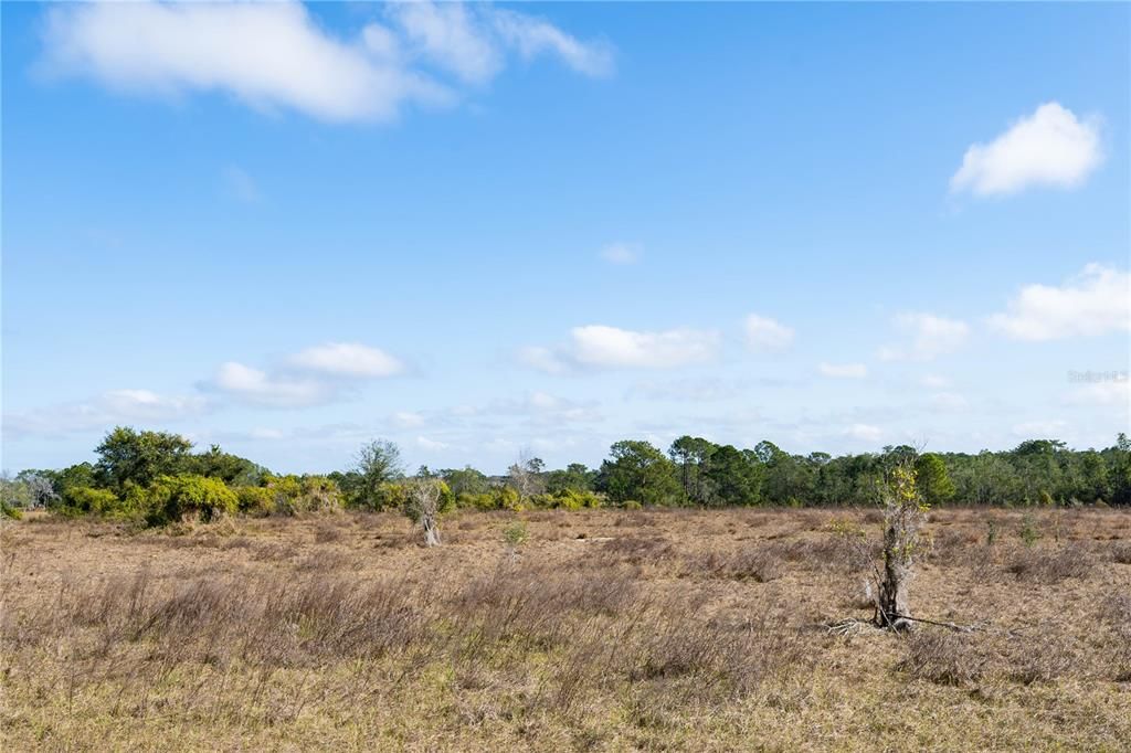 На продажу: $459,000 (10.00 acres)