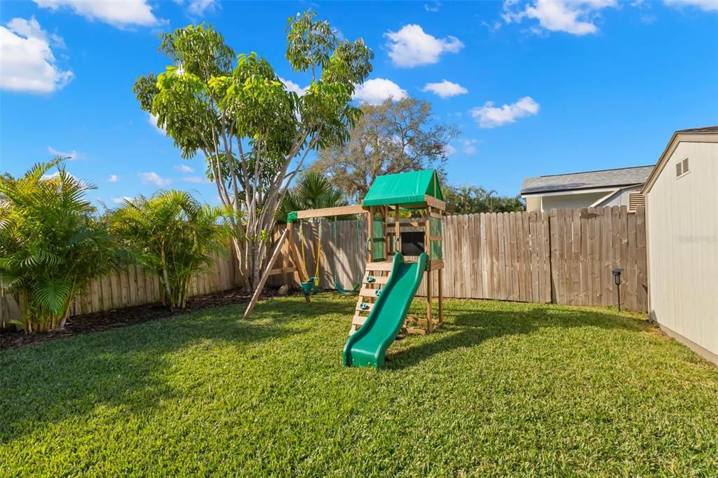 Yard/Swing Set