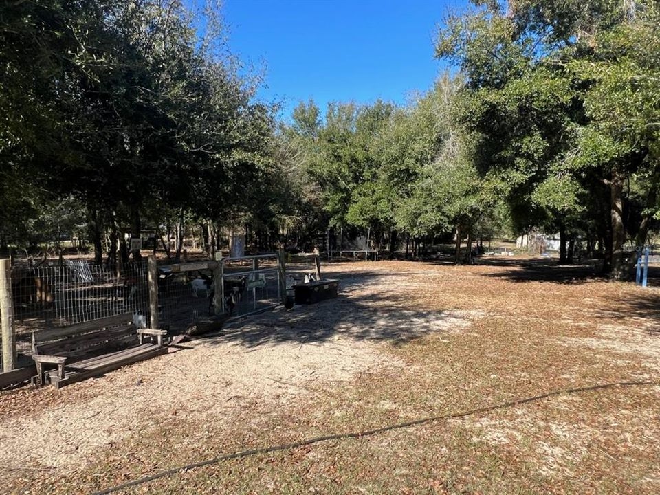 Back yard view towards the woods