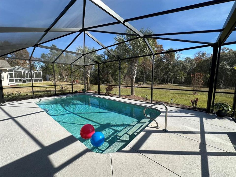 Pool with Enclosure