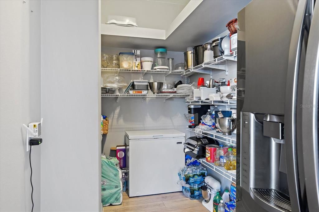 Huge walk-in Pantry