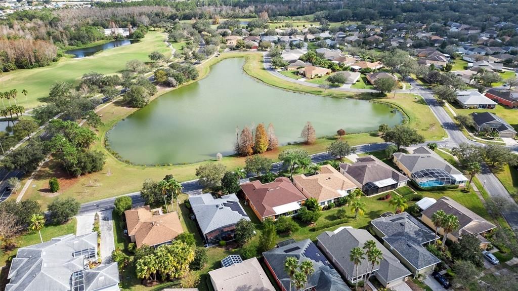 Pond view