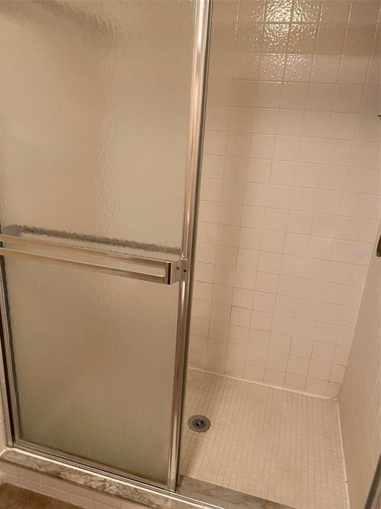 Master bath has a shower