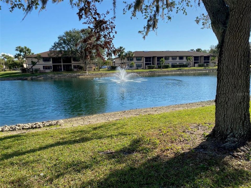 Tranquil pond with fountain