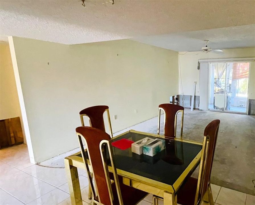 Dining Area / Living Room