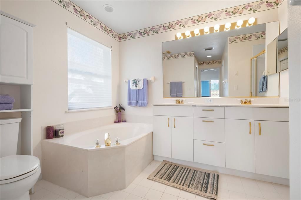 Master bath with tub and dual sinks