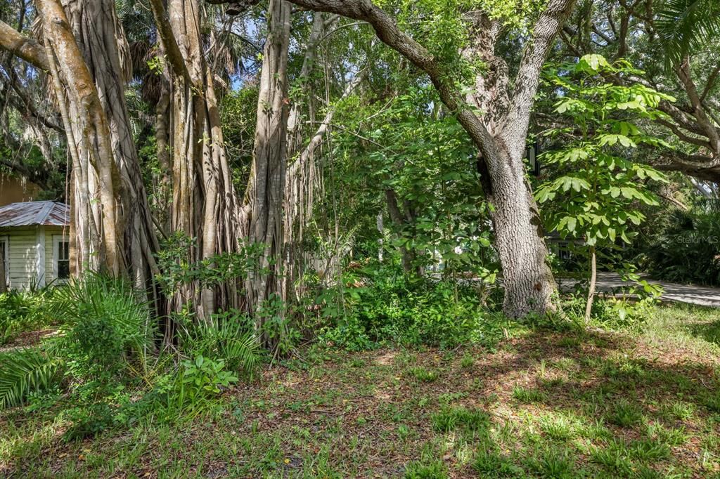 На продажу: $4,500,000 (0.96 acres)