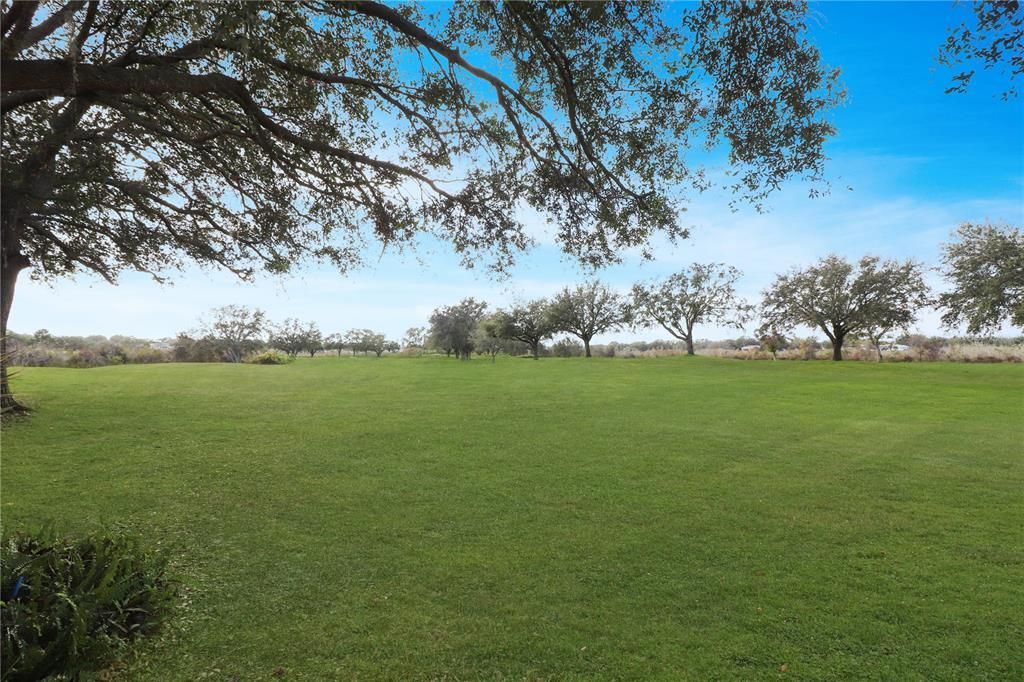 Gorgeous golf course views