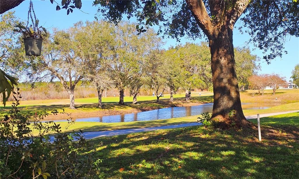 Gorgeous pond view from your lanai