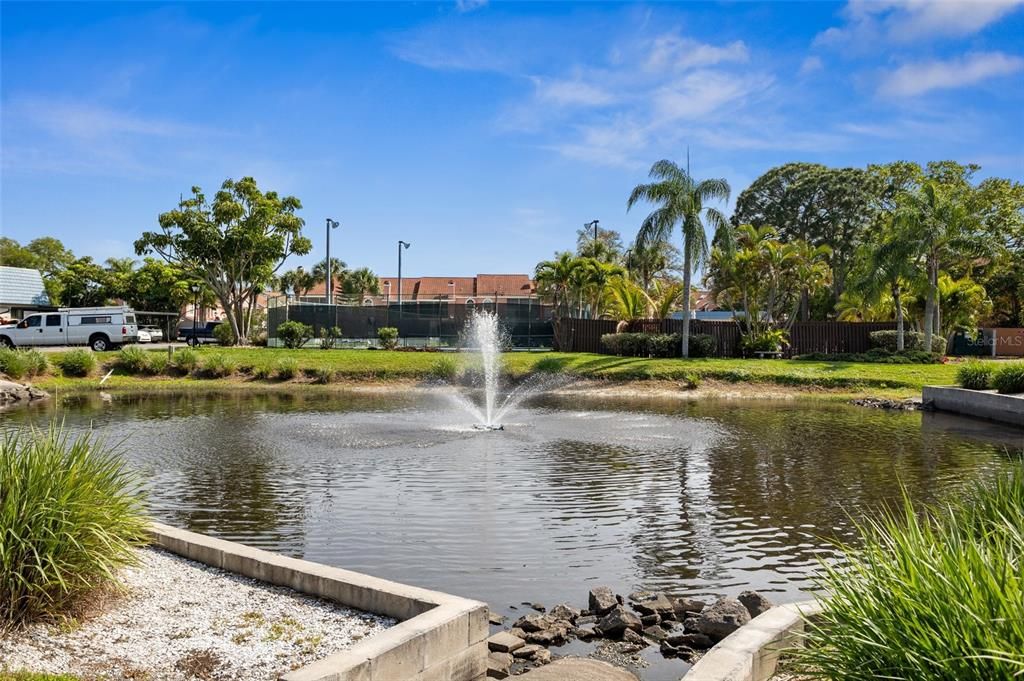 Community water feature