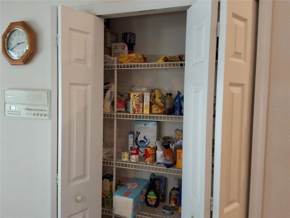 Kitchen closet pantry