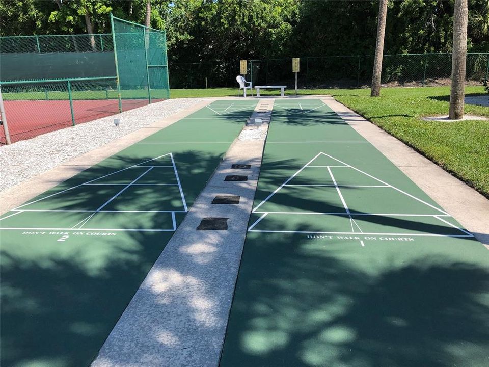 Shuffleboard Court