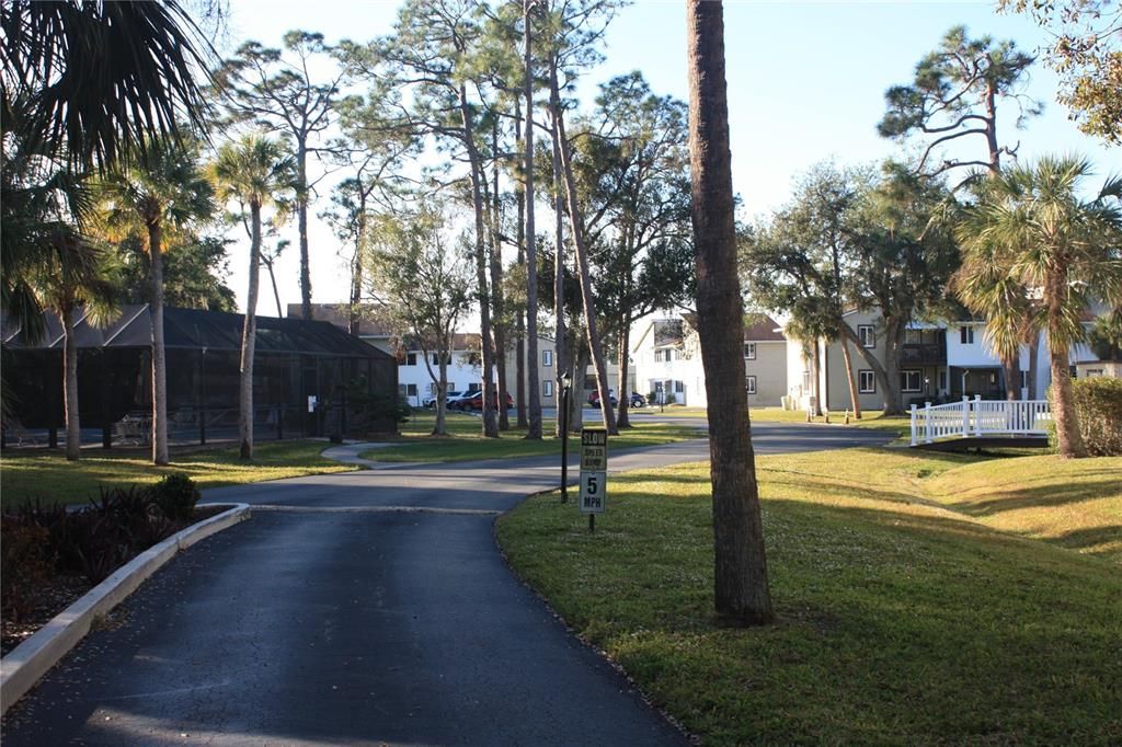 Road leads to pool