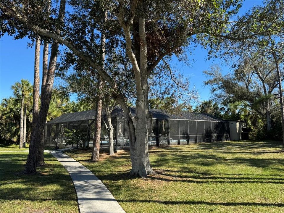 Pool area surrounded by Mature Trees