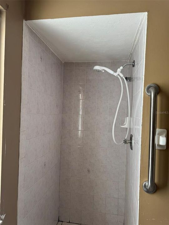 Master suite shower