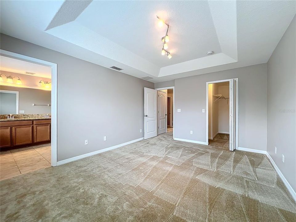 Tray ceiling and walk-in closet in the primary suite.