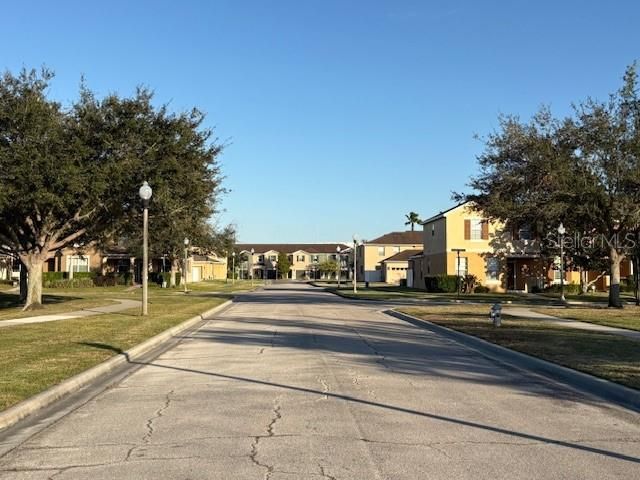 A view looking down the street to 10951 Savannah Landing Circle.