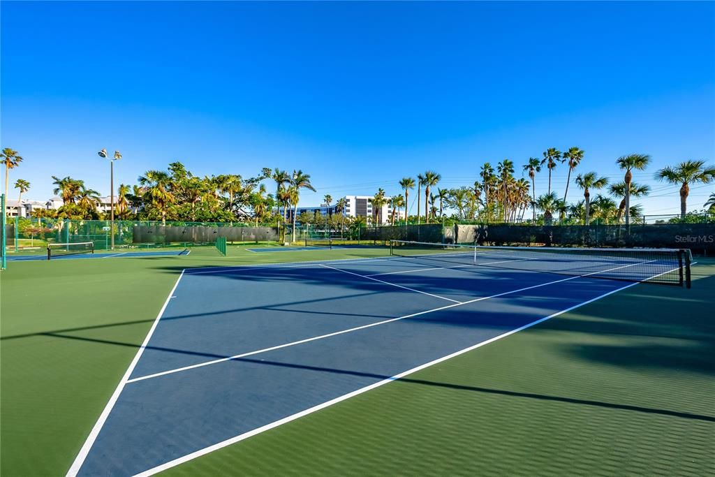 Tennis and pickleball courts