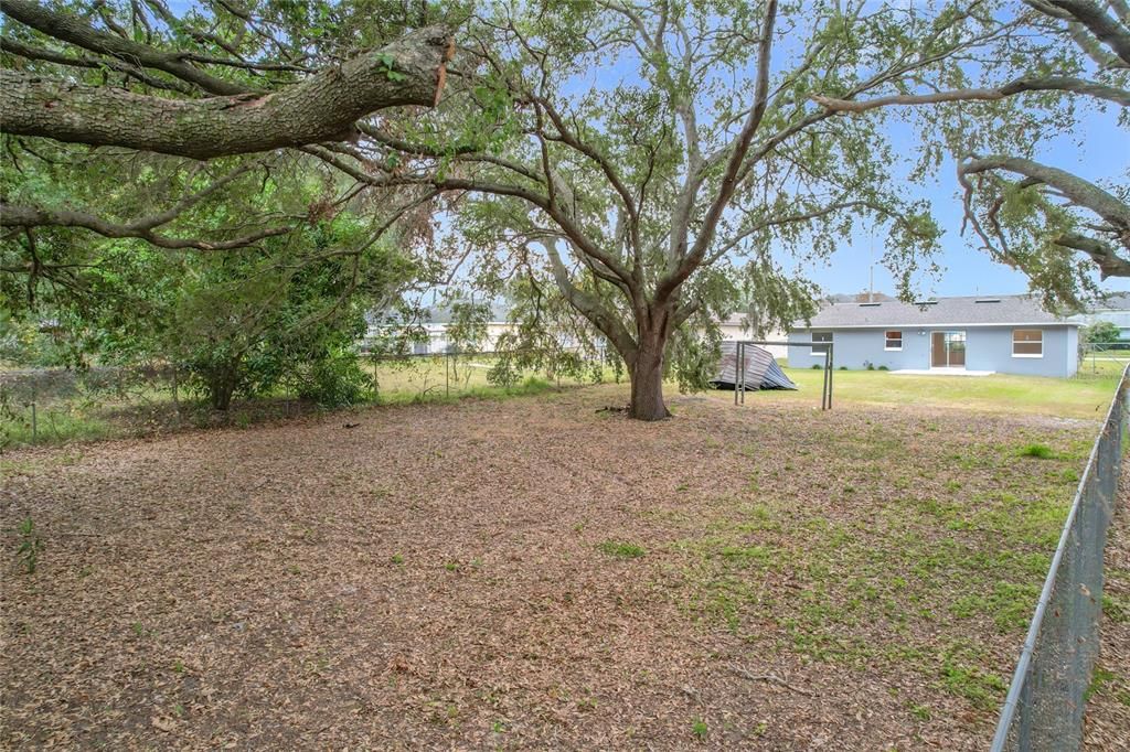 For Sale: $350,000 (3 beds, 2 baths, 1088 Square Feet)