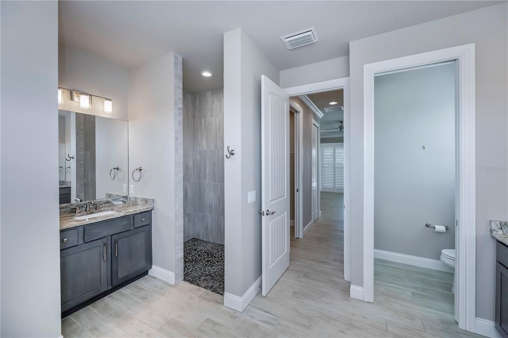 Master en-suite bathroom with walk-in shower