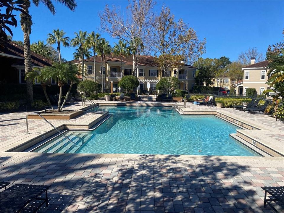 Beautiful pool big enough to do laps in