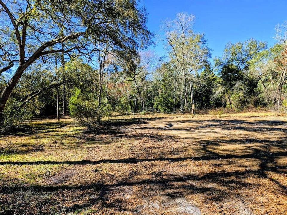 Front yard to homesite