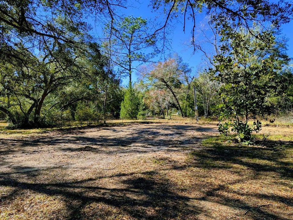 Cleared homesite