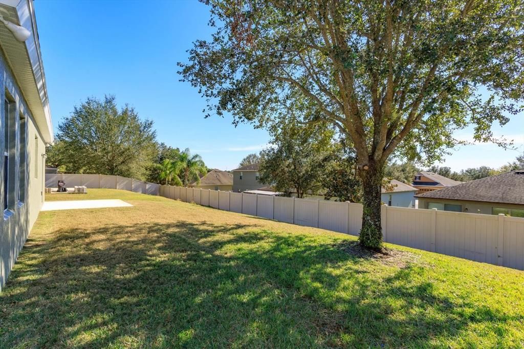 Spacious backyard with rear fence for privacy