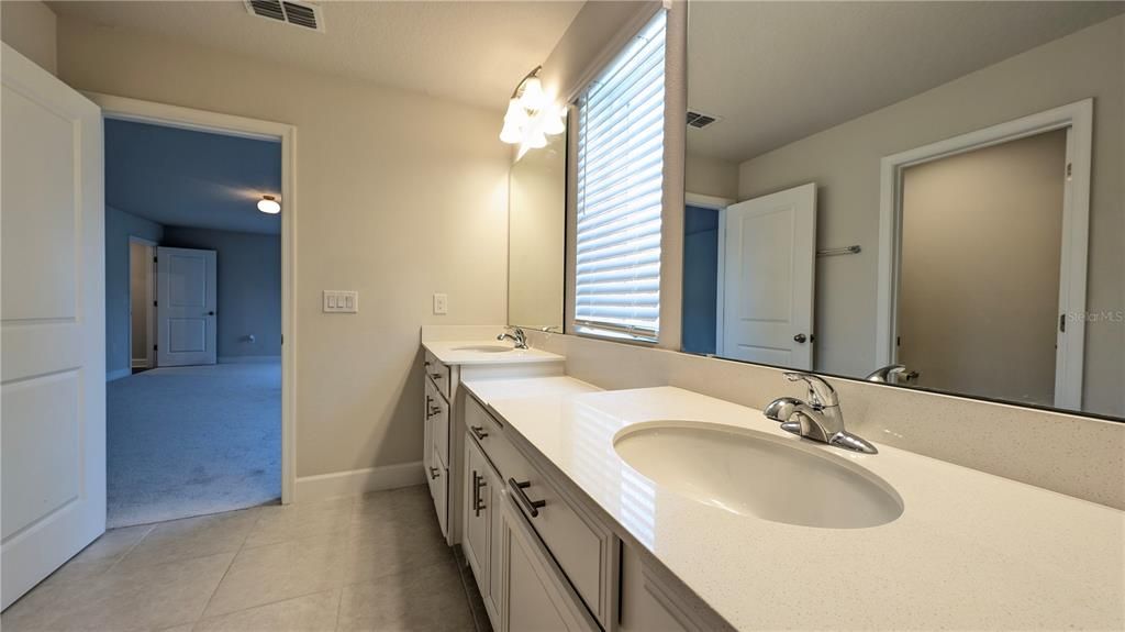 Primary Suite Bathroom