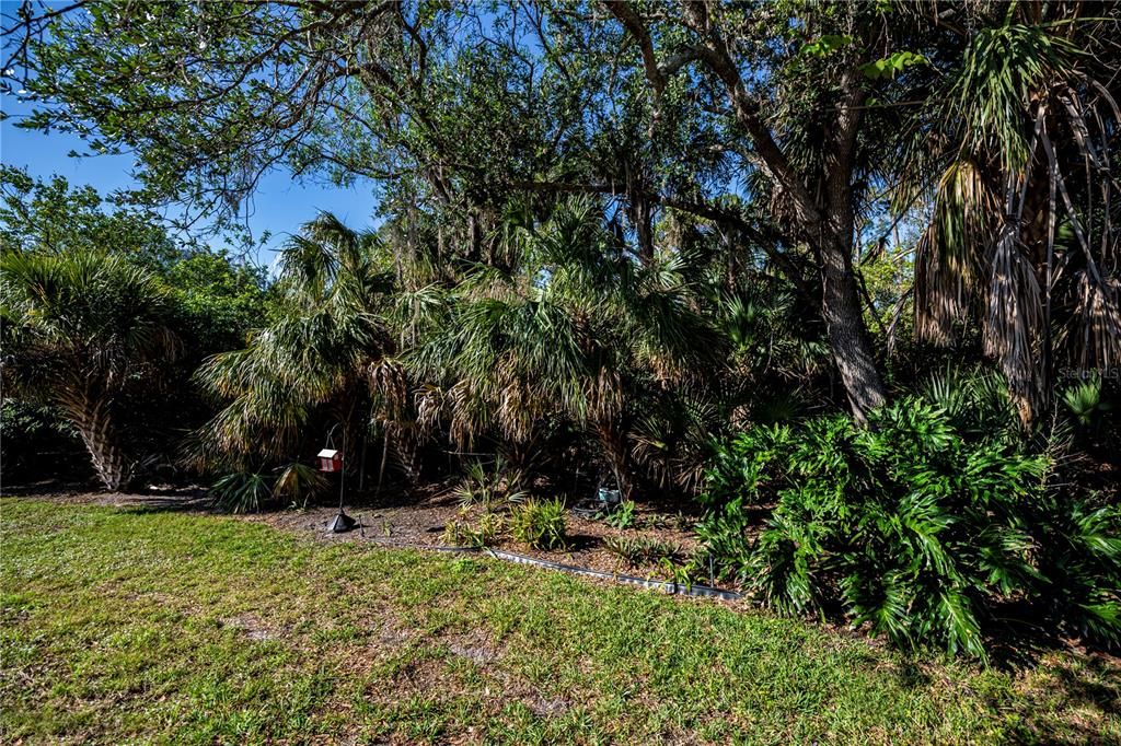 Green space behind home