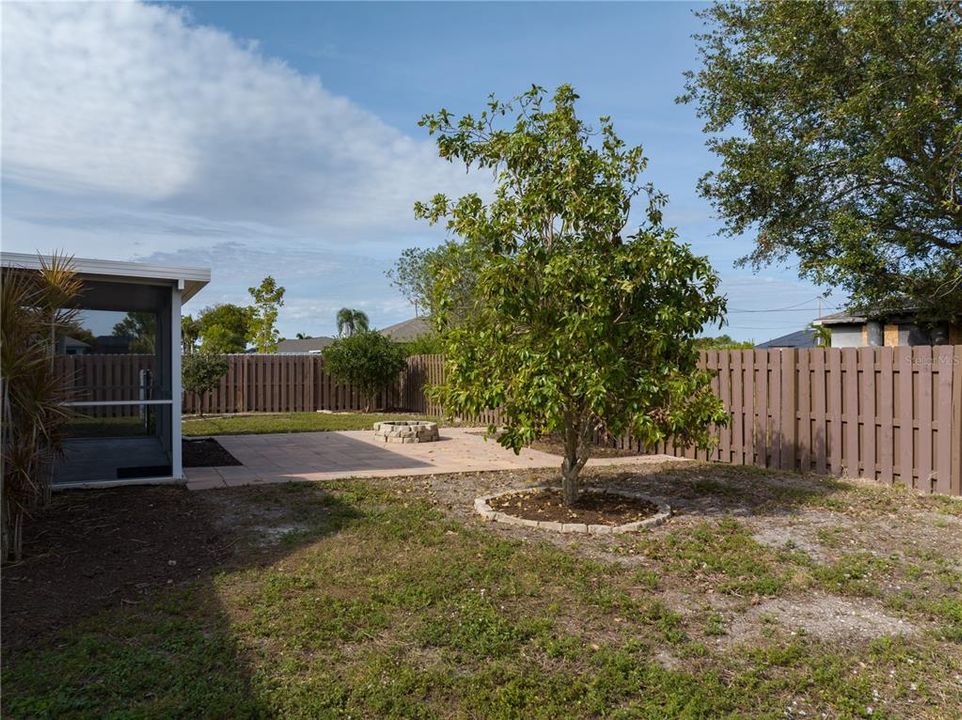 Mature trees and large backyard