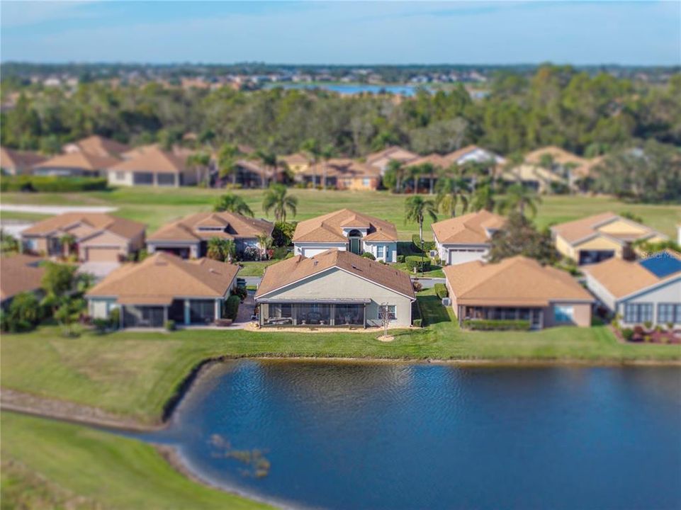 Neighborhood drone view