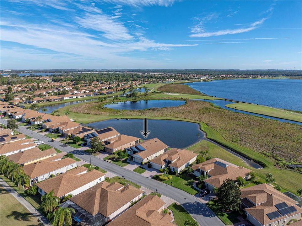 Neighborhood drone view