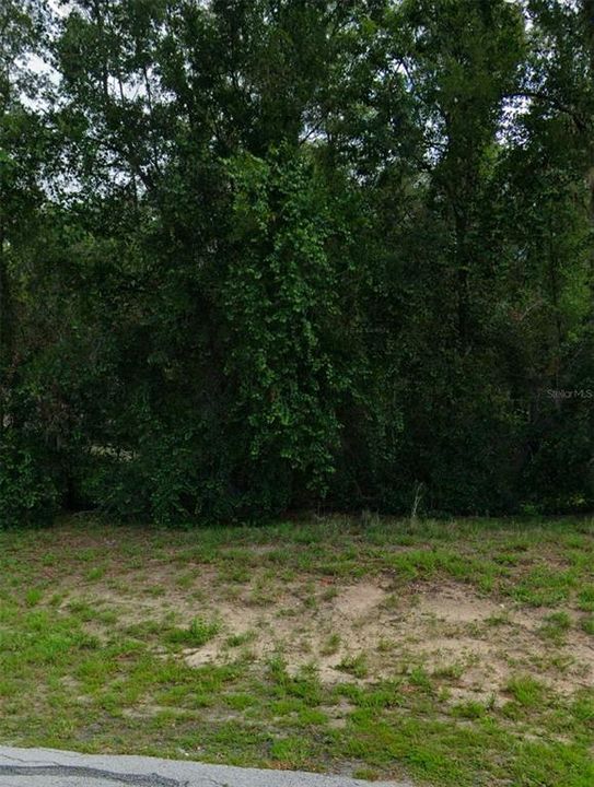 For Sale: $19,500 (0.24 acres)