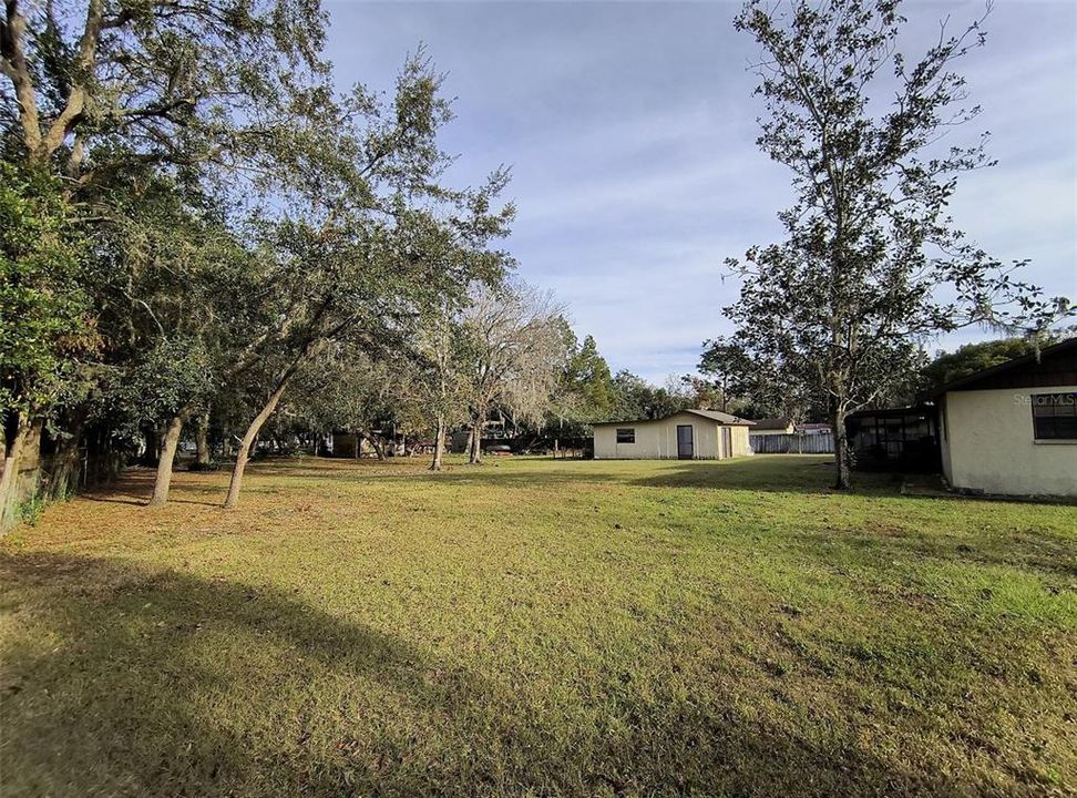 Side yard view