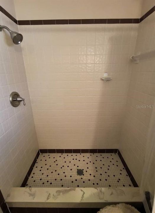 Primary bedroom shower