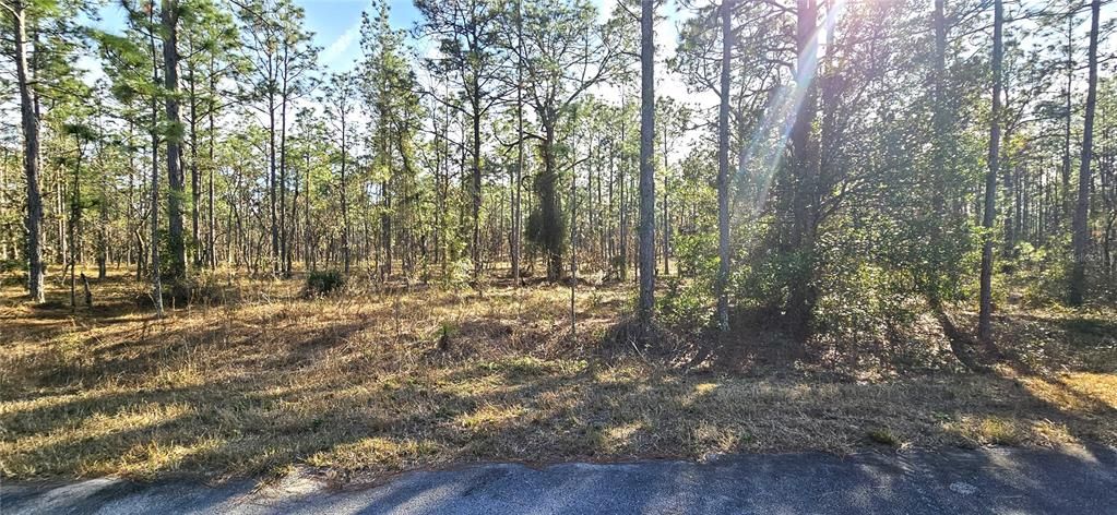 For Sale: $25,900 (1.03 acres)