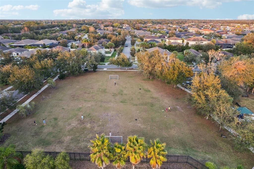 Soccer Field