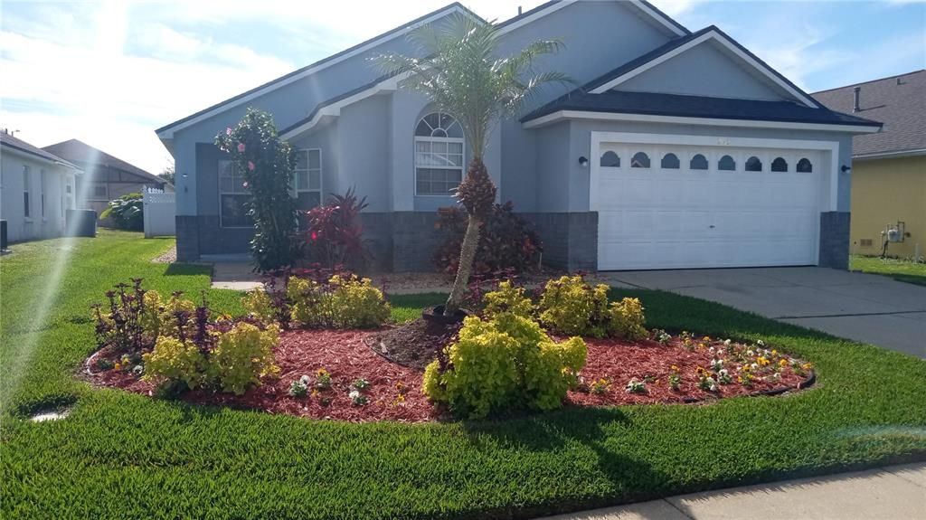 POOL HOME LANDSCAPED