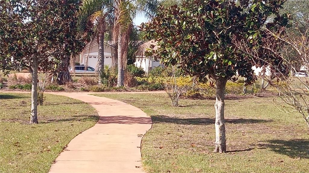 PATHS AND NATURE AREA ZERISCAPED WITH FLORIDE NATIVE GRASSES