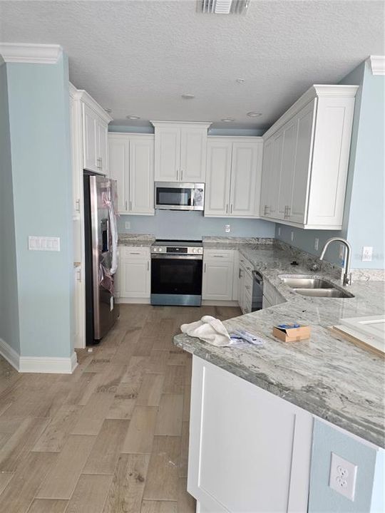 Deluxe kitchen with granite, SS appliances, solid wood soft close cabinets