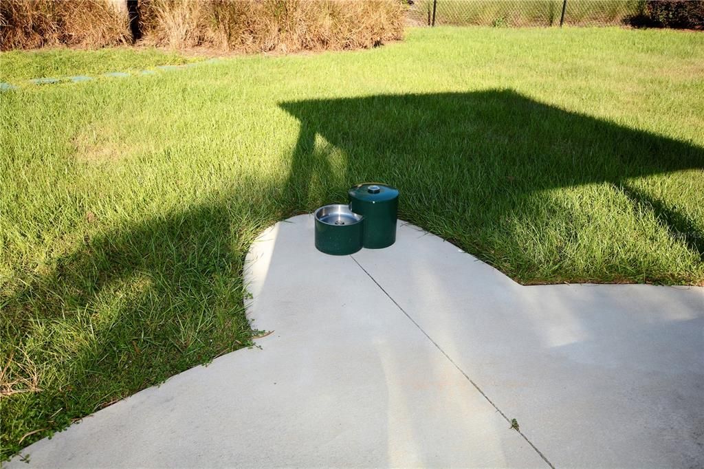 Dog Park Water Fountain