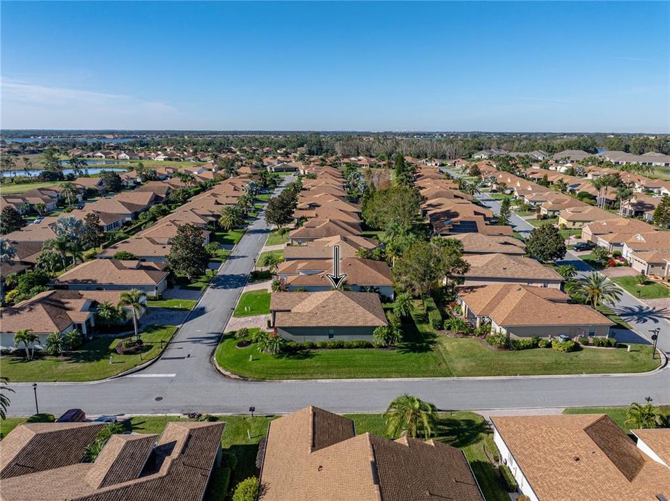 Neighborhood drone view