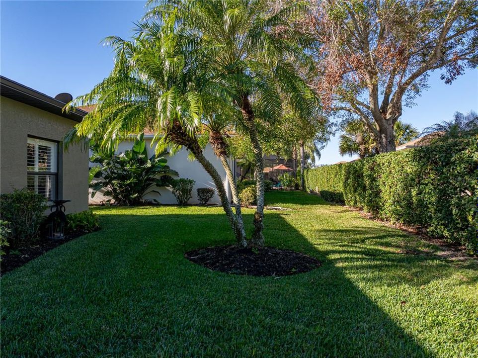 Large, landscaped yard