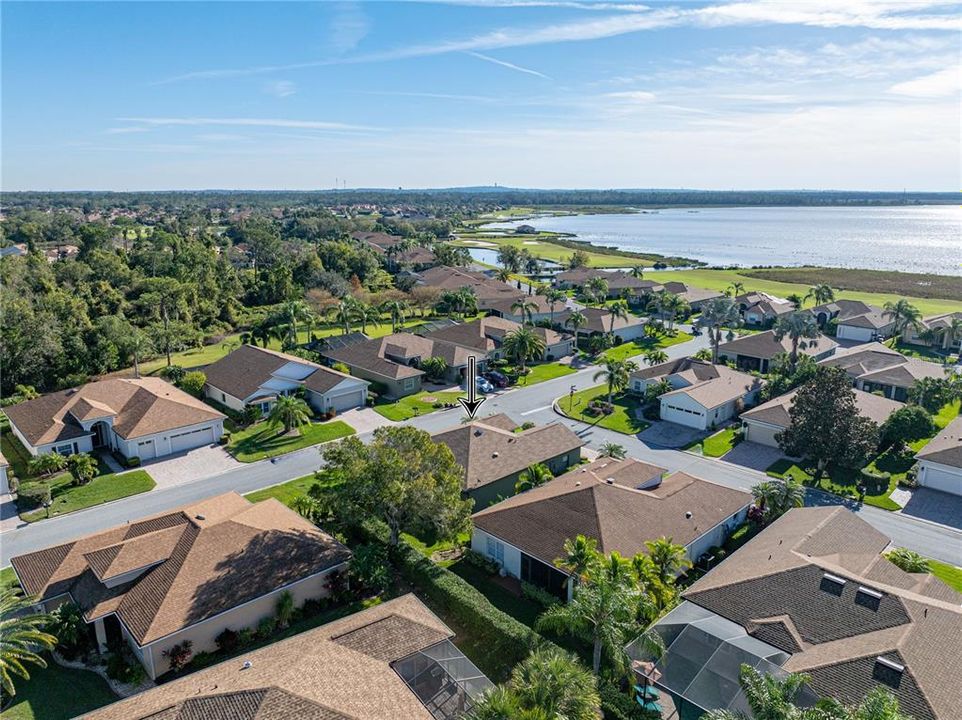 Neighborhood drone view