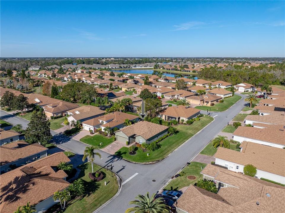 Neighborhood drone view