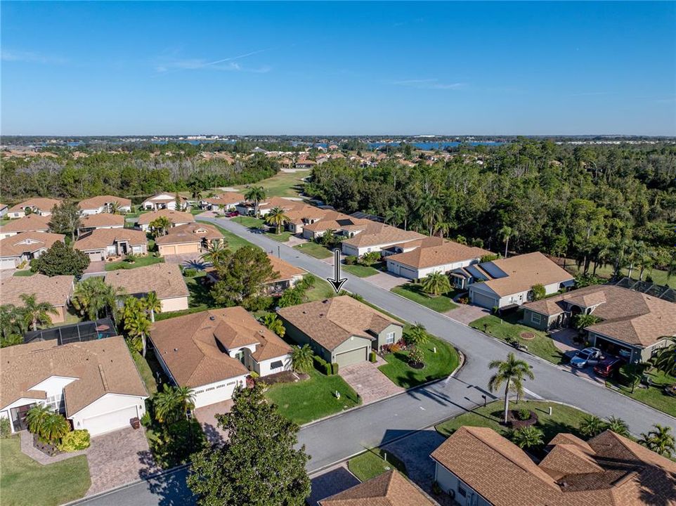 Neighborhood drone view