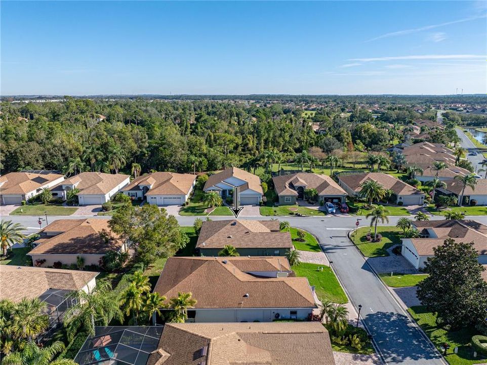 Neighborhood drone view