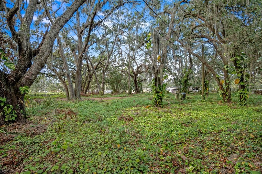Recently Sold: $230,000 (2.21 acres)