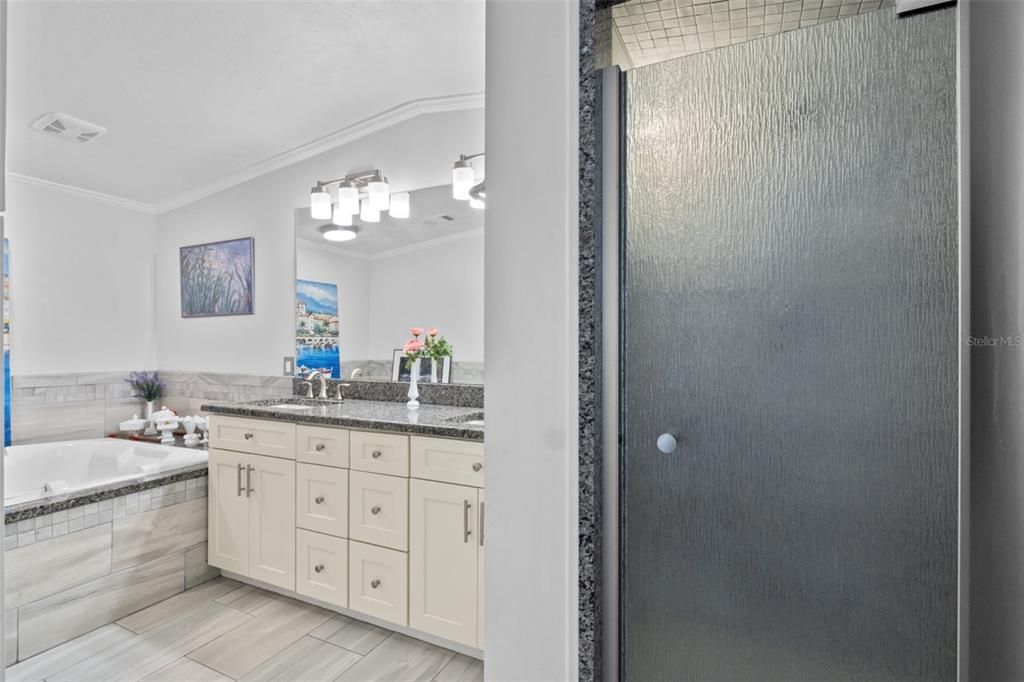 Primary Bathroom with extra large jacuzzi tub double sink vanity & toilet